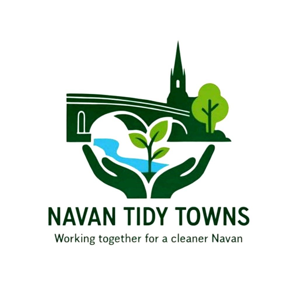 navantidytowns.ie